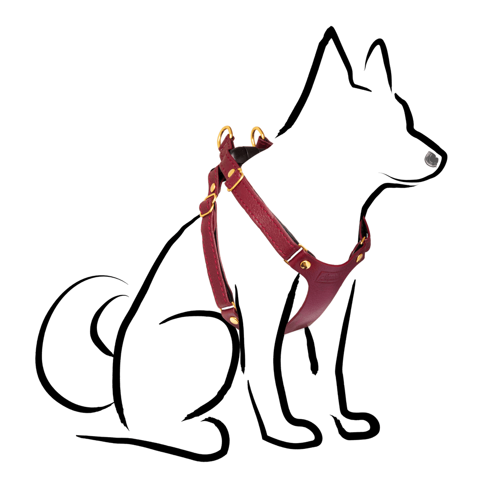 Leather Small Dog Harness - Supapup - Burgundy