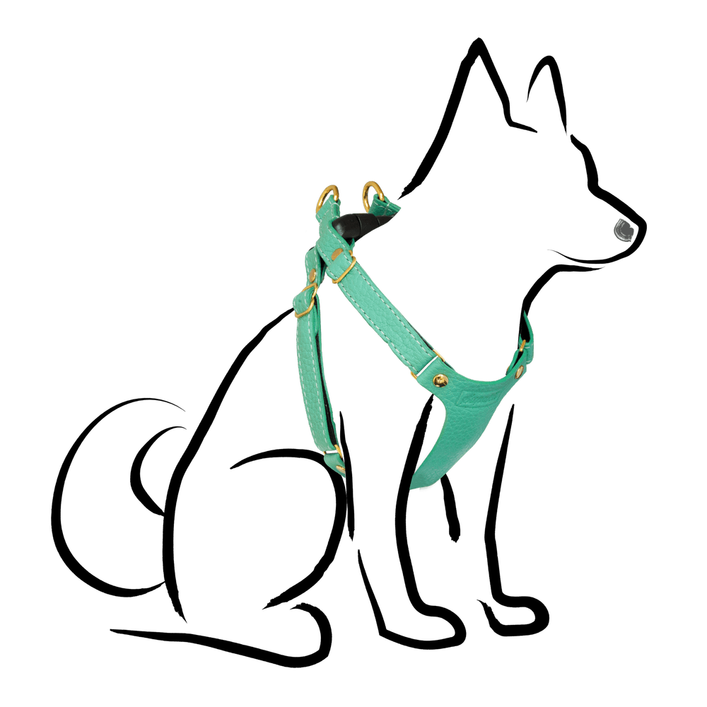 Leather Small Dog Harness - Supapup - Mint Green