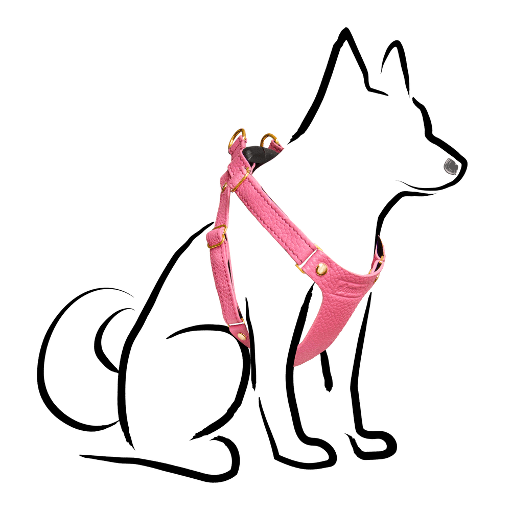 Leather Small Dog Harness - Supapup - Rose Pink