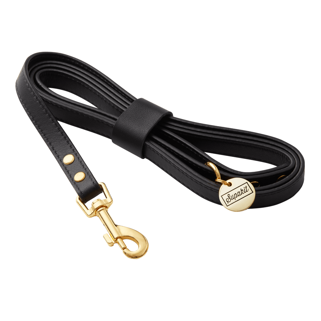 Leather Small Dog Leash - Supapup #style_black-leather
