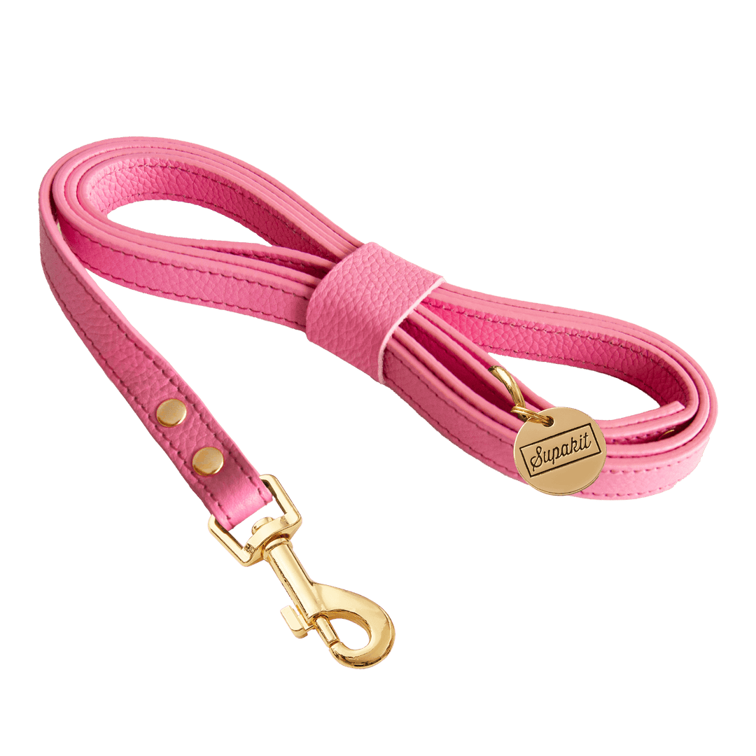 Leather Small Dog Leash - Supapup #style_rose-pink-leather