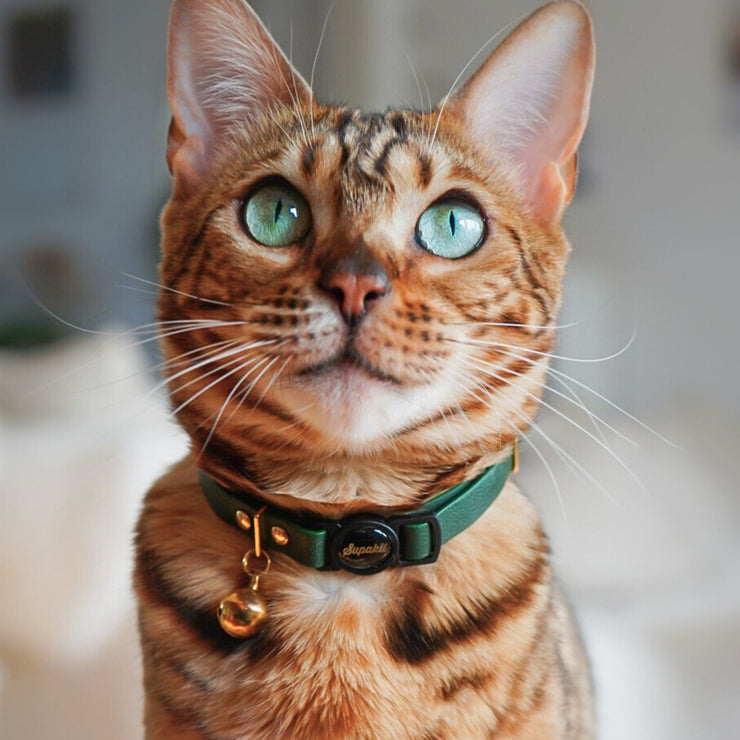 Luxury Leather Cat Collar - Emerald Green - Supakit