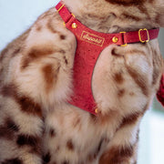 Pink Cat Harness - Supakit