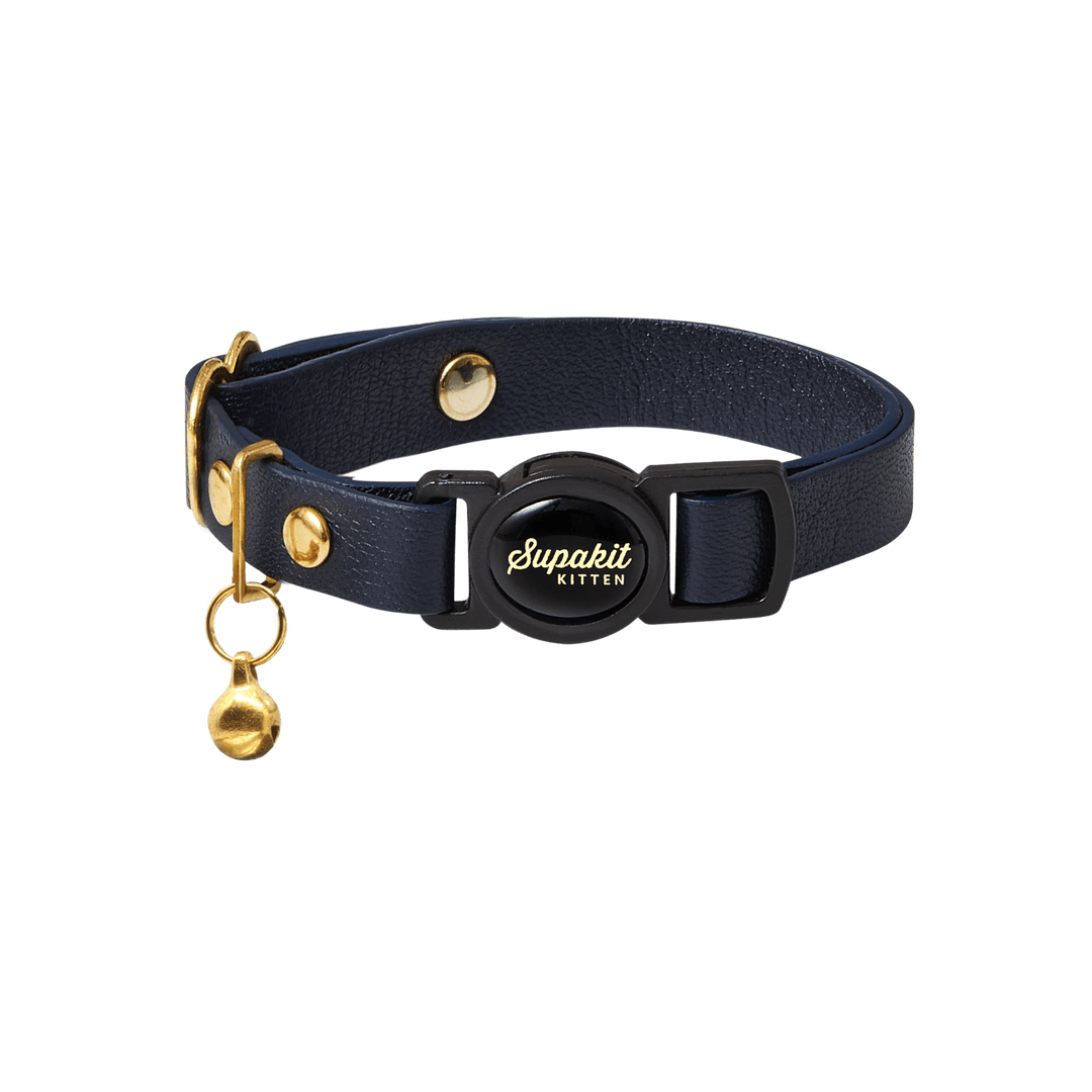 Quick release kitten collar best sale