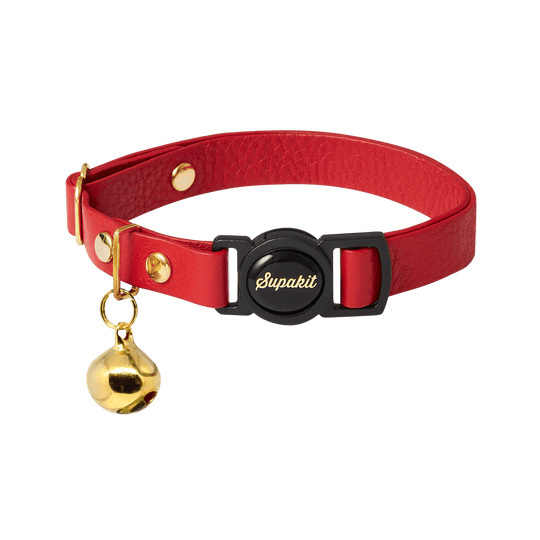 What Colour Collar Should I Get My Cat? – Supakit®
