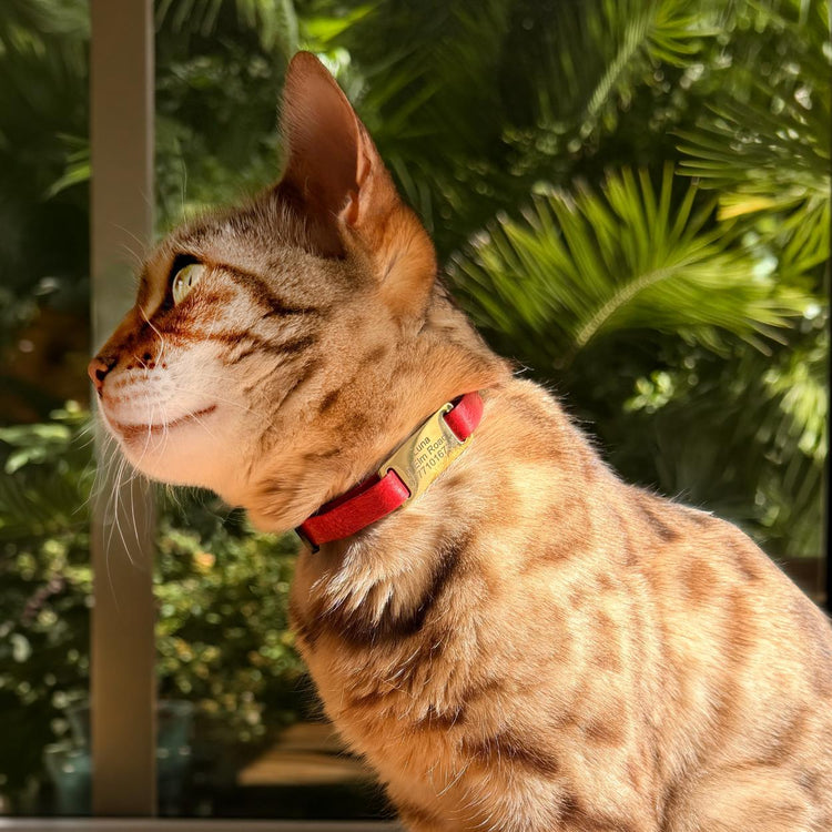 Silent Cat Tag Custom Engraved