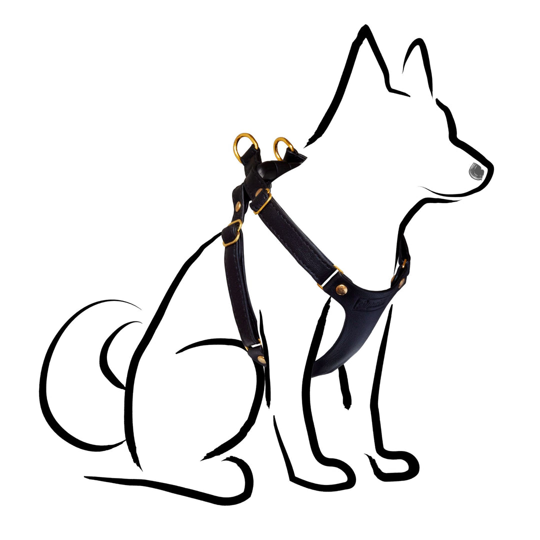 Small Dog Harness - Black Leather - Supakit