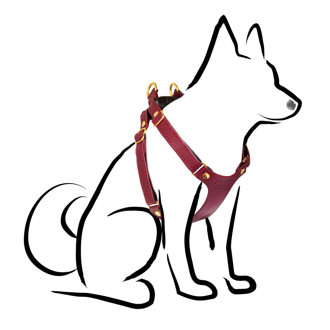 Small Dog Harness - Burgundy Leather - Supakit