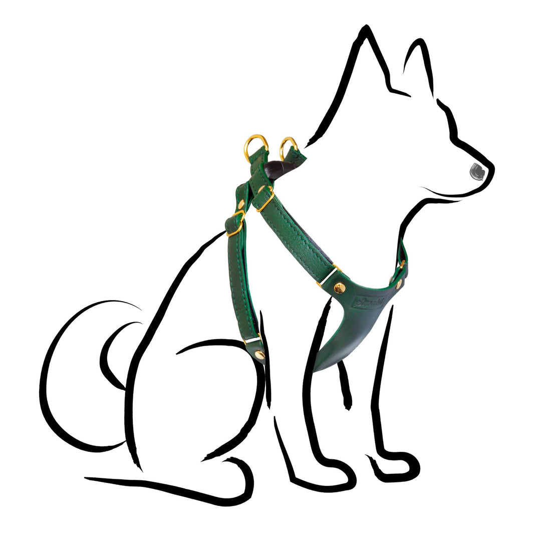 Small Dog Harness - Emerald Green Leather