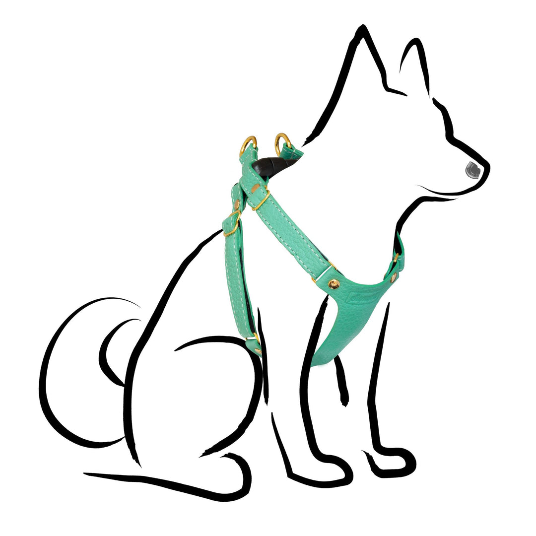 Small Dog Harness - Mint Green Leather - Supakit