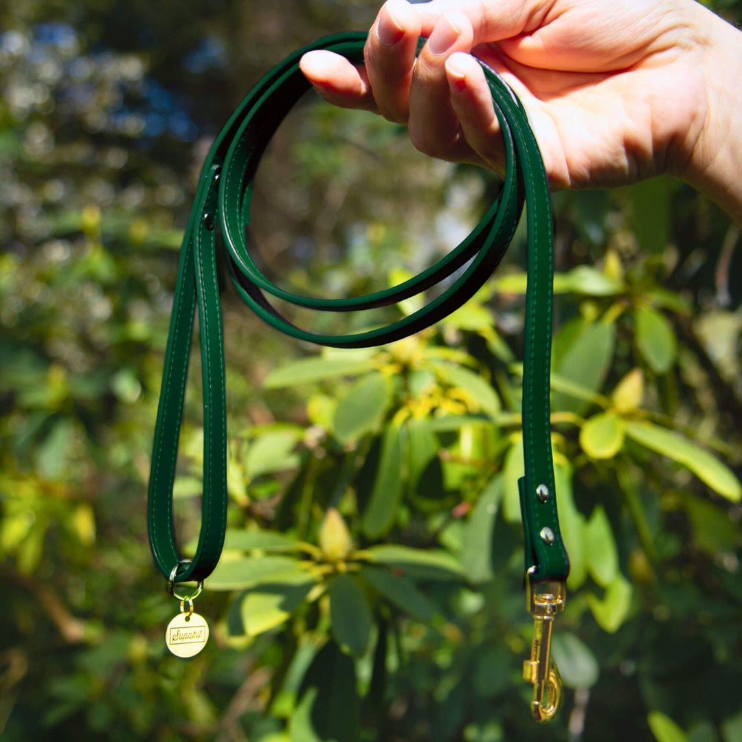 Small Dog Lead - Supapup #style_emerald-green-leather