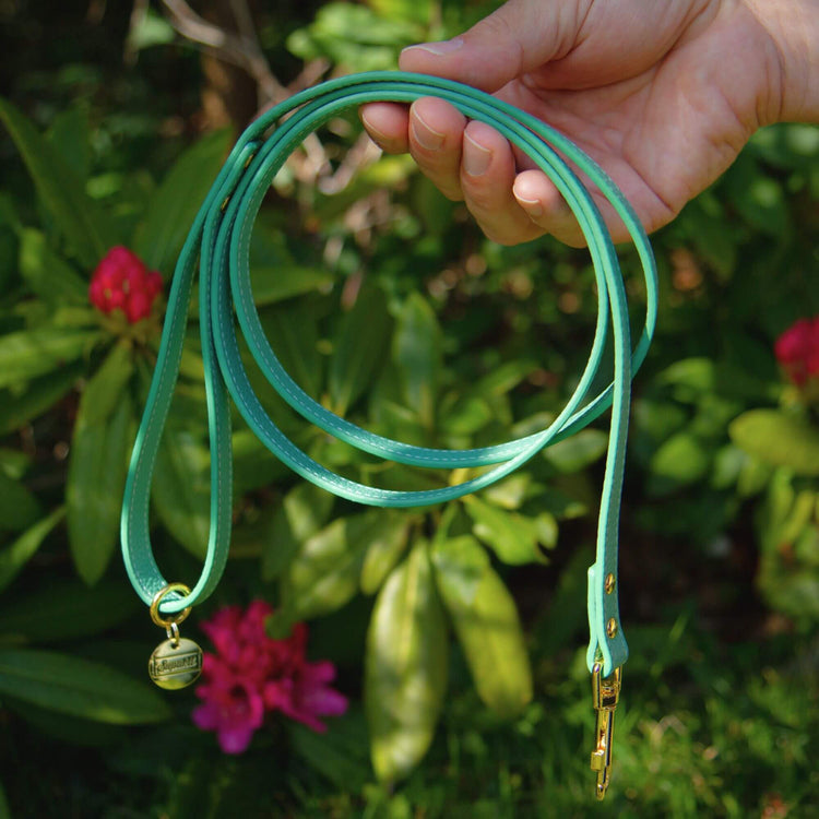 Small Dog Lead - Supapup #style_mint-green-leather