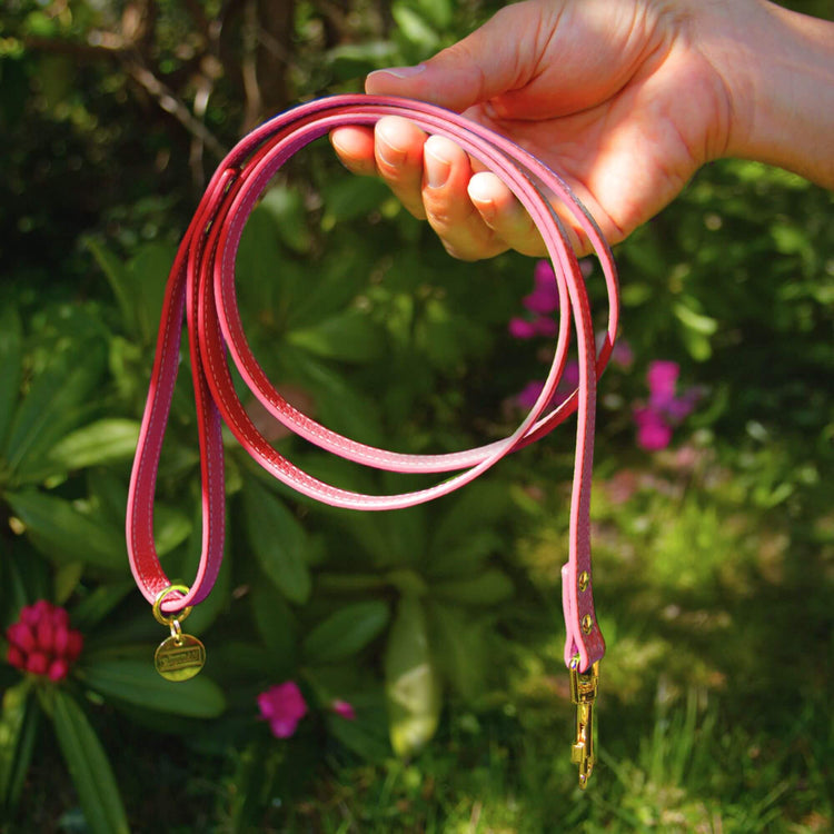 Small Dog Lead - Supapup #style_rose-pink-leather