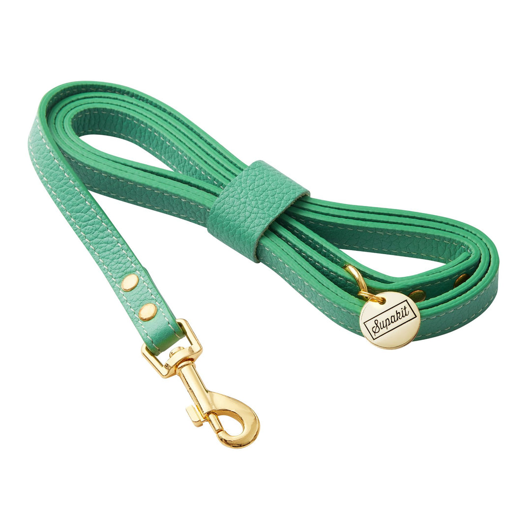 Small Dog Leash - Mint Green Leather - Supakit