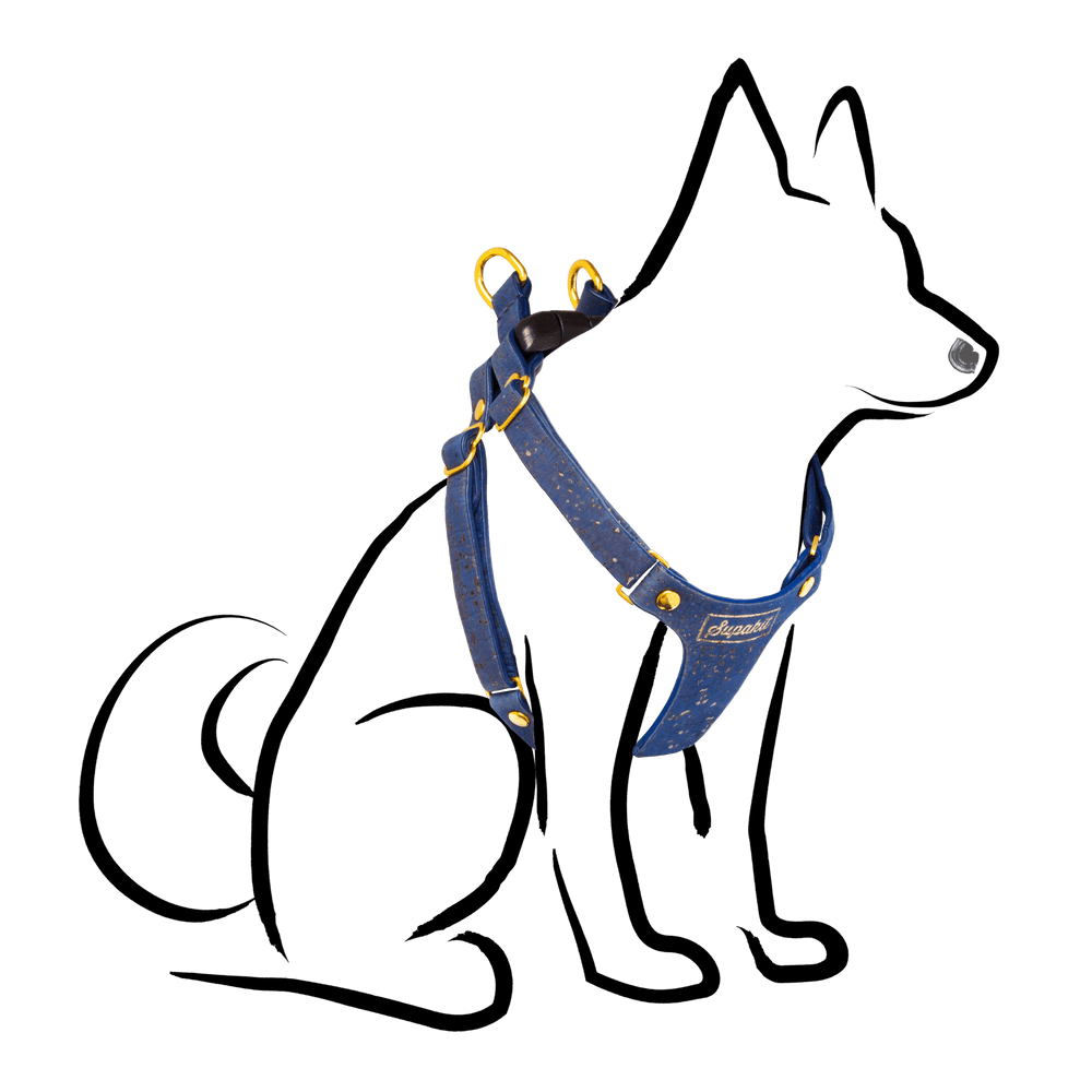Small Dog Harness - Supapup - Blue Cork