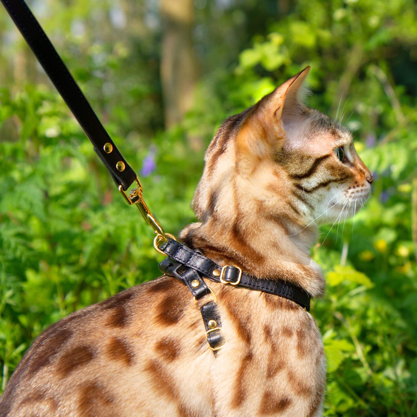 The Supakit Cat Lead #style_black-leather