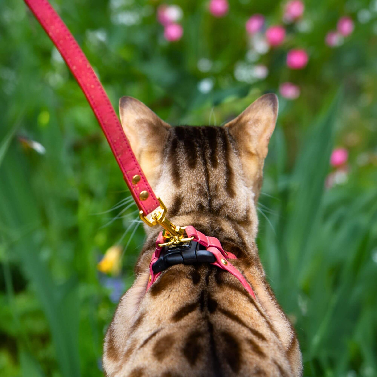 The Supakit Cat Lead #style_strawberry-vegan-cork