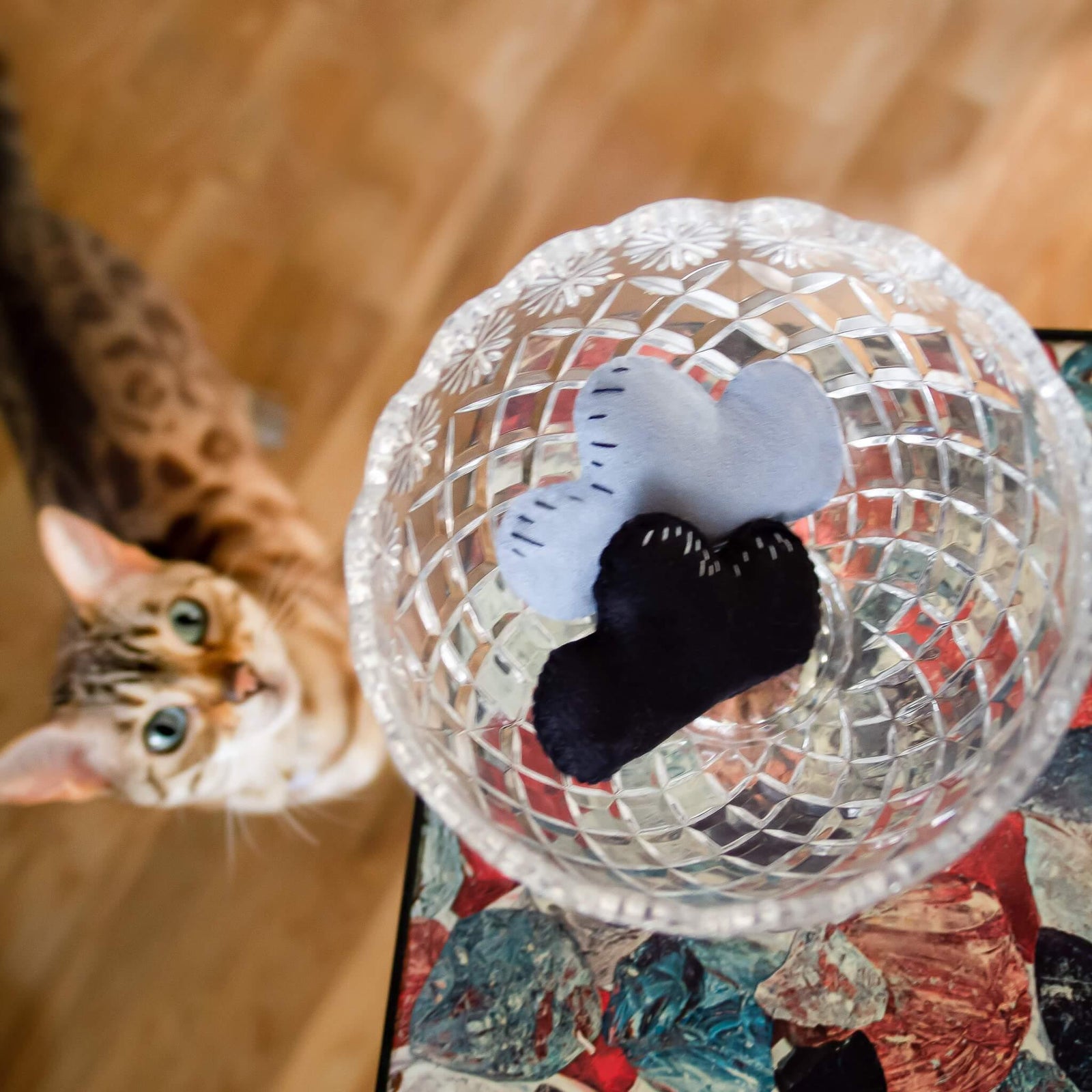 Catnip Toys For Cats #design_cloud