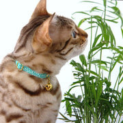 Fabric cat collar - mint green - Supakit