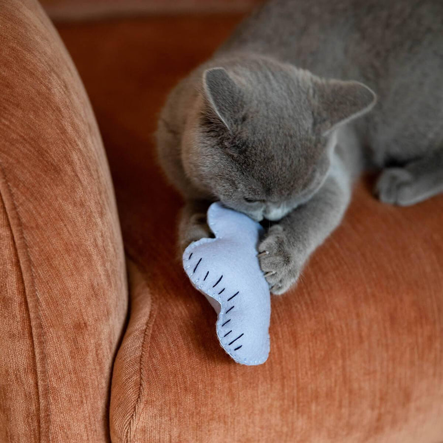 Make Your Own Cat Toys | Cat Toys Craft Kit – Supakit®