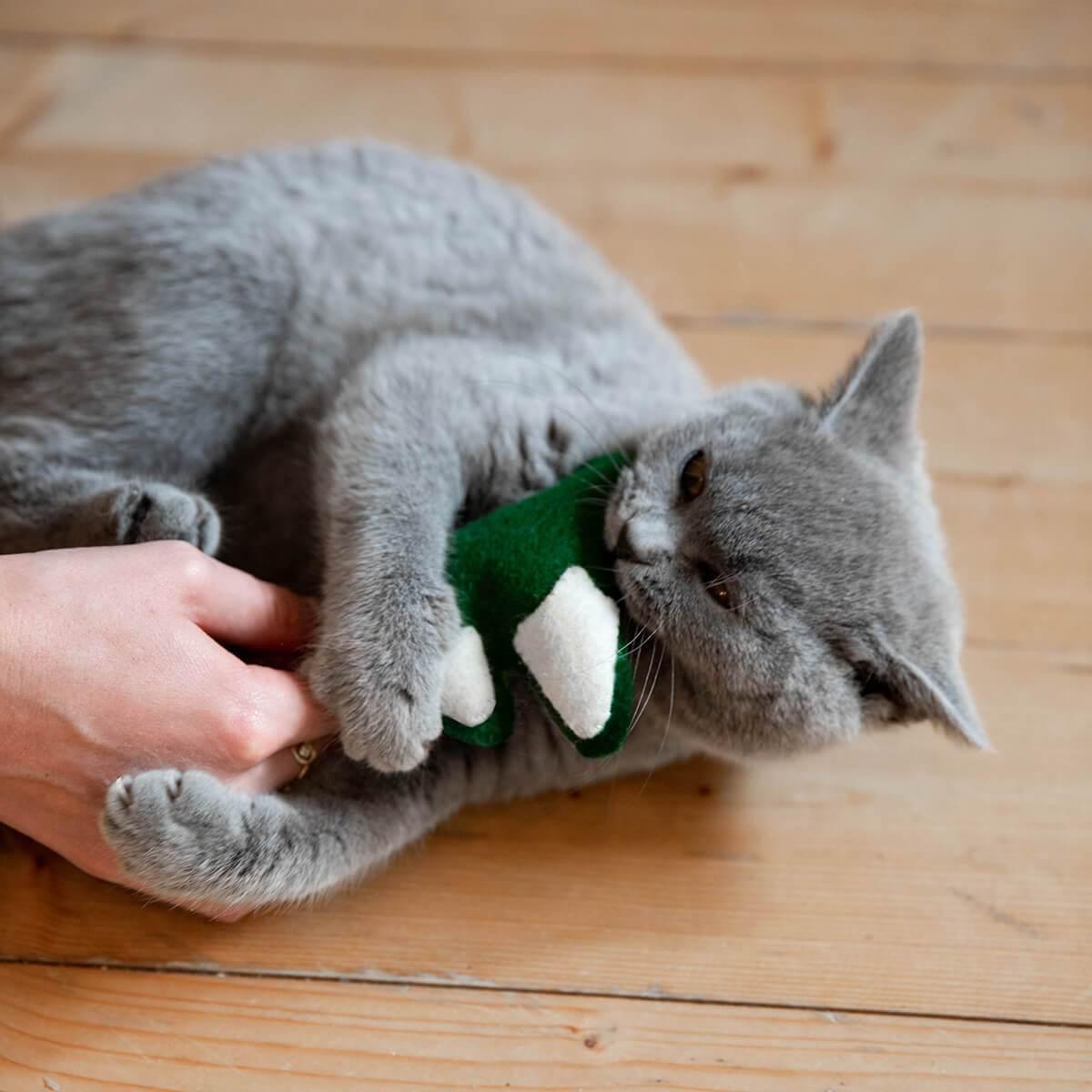 Cat Toy Making Kit Make Your Own Cat Toys Kit – Supakit